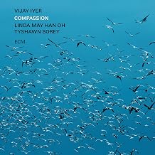 Vijay Iyer cd